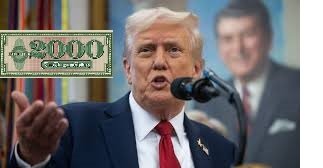 tariff dividend, tariff rebate checks, trump tariff dividend, 2000 tariff check, tariff stimulus checks, $2000 stimulus check 2025, trump stimulus, trump tariff checks, tariff checks, trump 2000 dollars, trump stimulus check, trump tariffs, trump stimulus payment, trump dividend payout, tariff rebate check, 2000 stimulus , checks 2025, trump $2000, trump stimulus checks, tariff stimulus checks update
